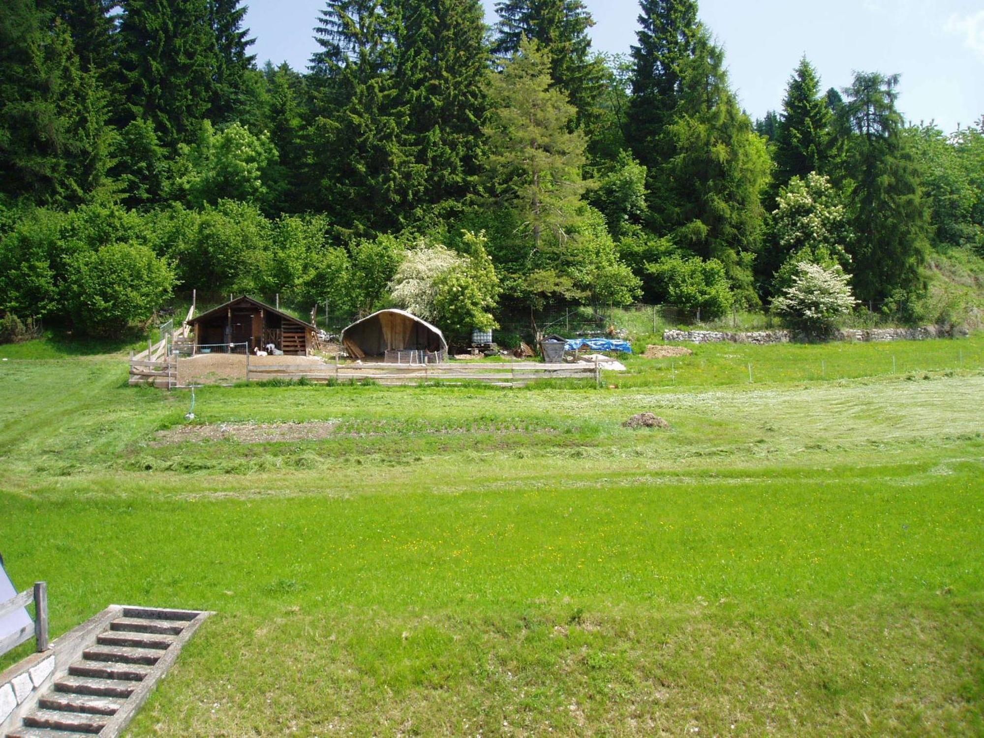 Giongo Residence - Appartamenti Lavarone Bagian luar foto